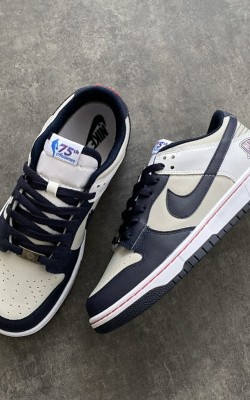 Dunk Low Nets Dunk Low Nets